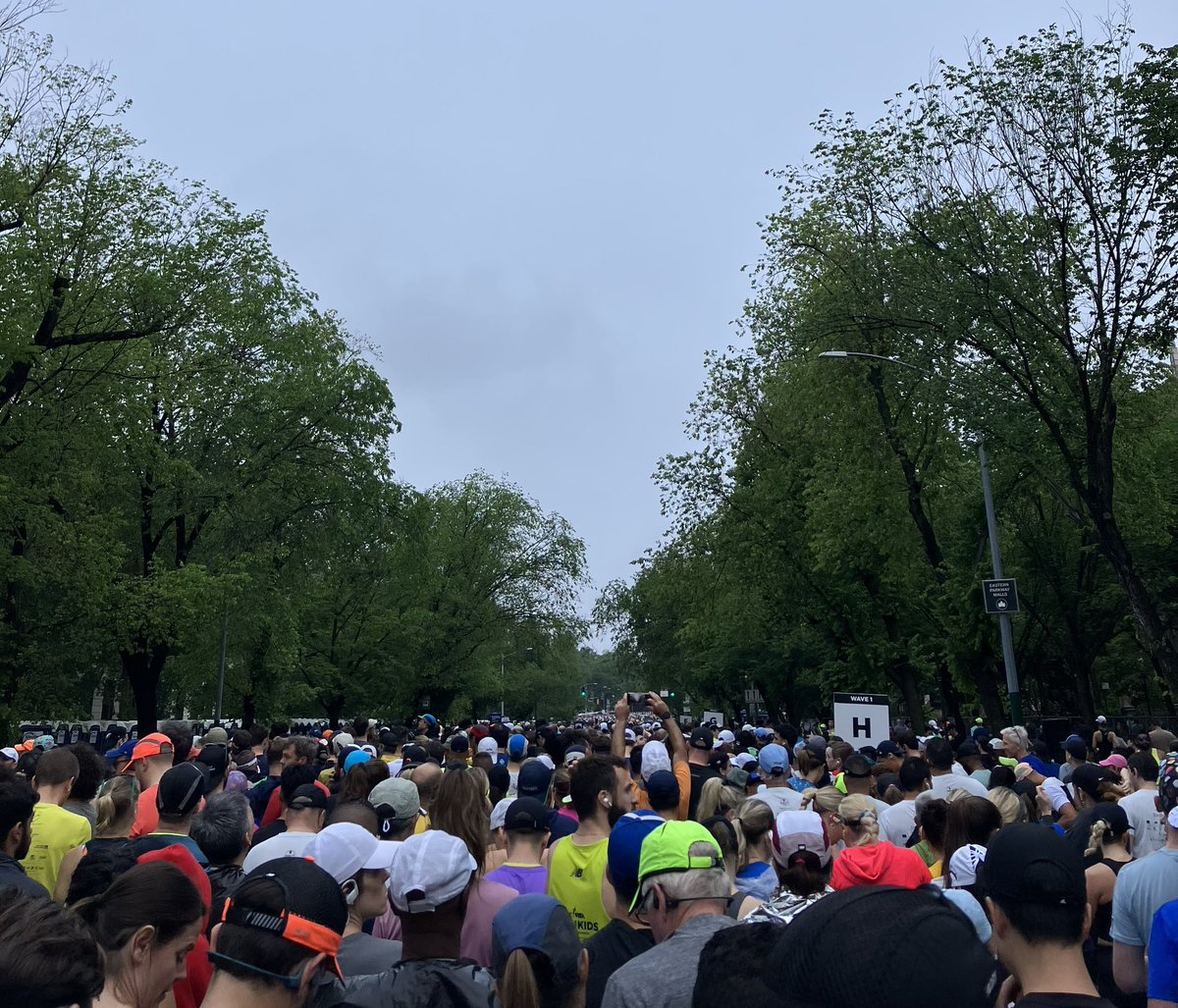 sara lippmann tweet media