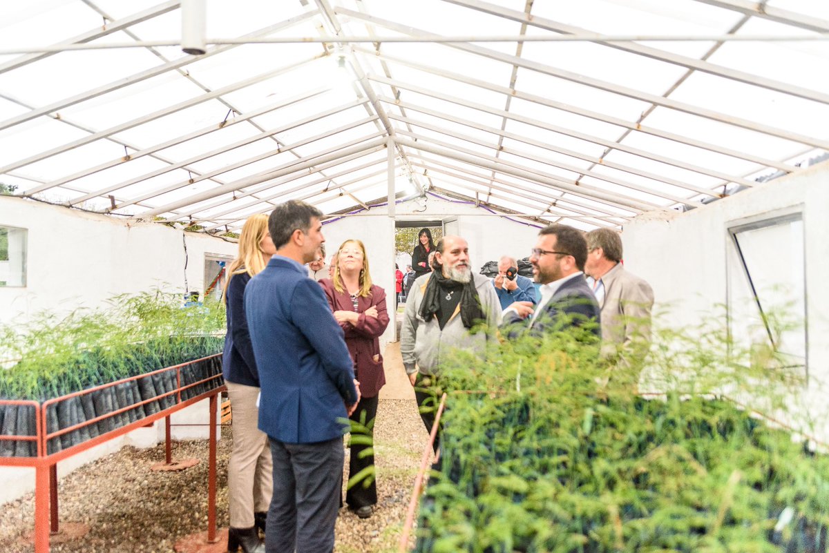 marcelo_yaquet's tweet photo. Participamos junto a @ArrigoniAriadna en representación de la SubSecretaria #AgroPyme @milabarbieri @AgriculturaAR en Inauguración y recuperación del Vivero #AgroForestal #Ansenusa
Unidad gestionada por el Municipio de #Marull y la Federación de Jóvenes Agrarios https://t.co/GdwmDgOybp