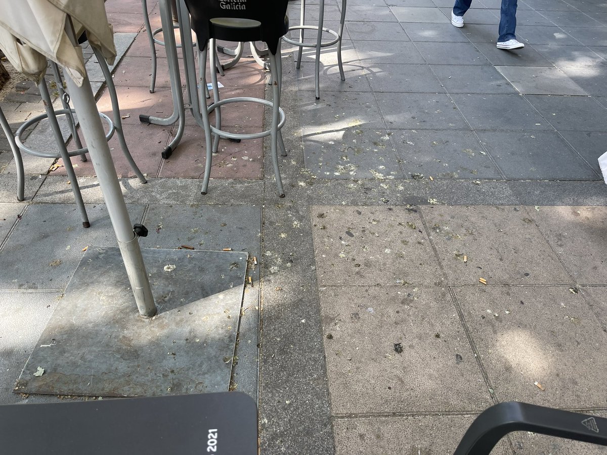 VallaSuciedad's tweet photo. Paseo Zorrilla 20/5/23 #VallaSuciedad
#ValladolidMejorQueNunca
#Valladolid https://t.co/8xyktHxZ56