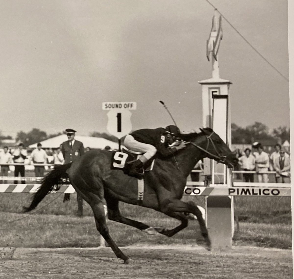 Gonzalo Anteliz Jr (@antelizjr) on Twitter photo Happy Preakness Stakes 148
!! Viva Cañonero !!
#Preakness148 #VivaCañonero
#JuegaenLinea
<a href="/gustavoavilacom/">Gustavo Avila Jockey</a> <a href="/PreaknessStakes/">Preakness Stakes</a> <a href="/JuegaEnLinea/">Juega En Línea 🇻🇪</a> <a href="/JockeyTack/">JockeyTack</a> Happy Preakness Stakes 148
!! Viva Cañonero !!
#Preakness148 #VivaCañonero
#JuegaenLinea
<a href="/gustavoavilacom/">Gustavo Avila Jockey</a> <a href="/PreaknessStakes/">Preakness Stakes</a> <a href="/JuegaEnLinea/">Juega En Línea 🇻🇪</a> <a href="/JockeyTack/">JockeyTack</a>