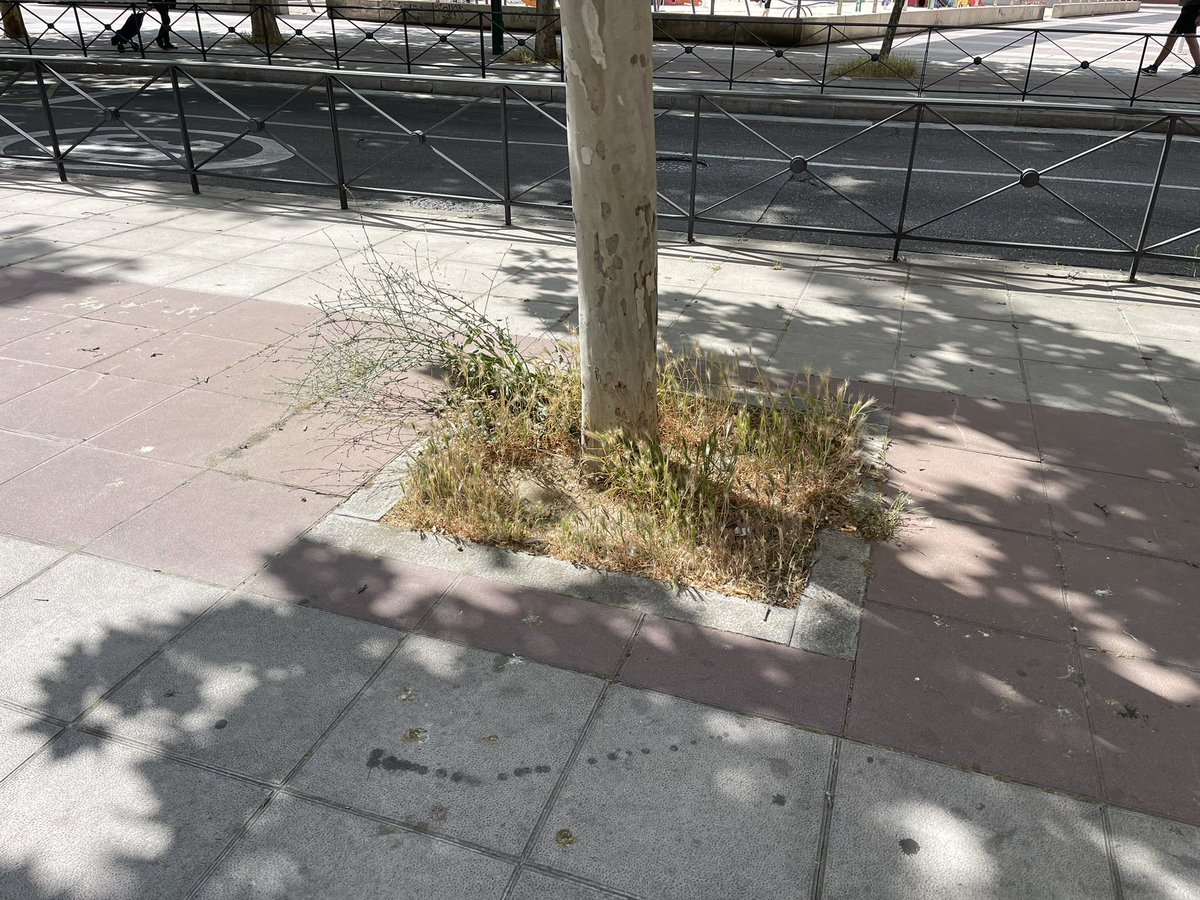 VallaSuciedad's tweet photo. Barrio de la Rondilla, Plaza de la Ribera de Castilla. 21/5/23 #VallaSuciedad
#ValladolidMejorQueNunca
#Valladolid https://t.co/9qqRFrJ7lM
