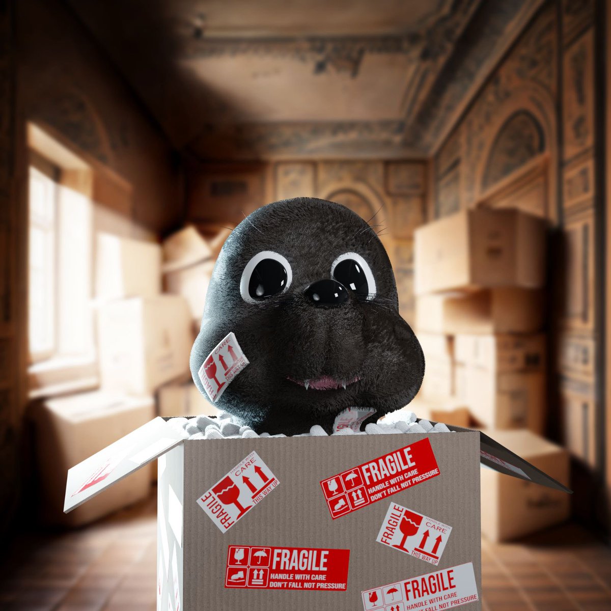 The Seals | Rebranding tweet media