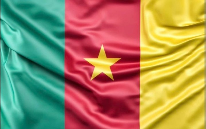 franck_max10's tweet photo. @Mr_ze_kjm ❤️🇨🇲 https://t.co/uoywwv09ur
