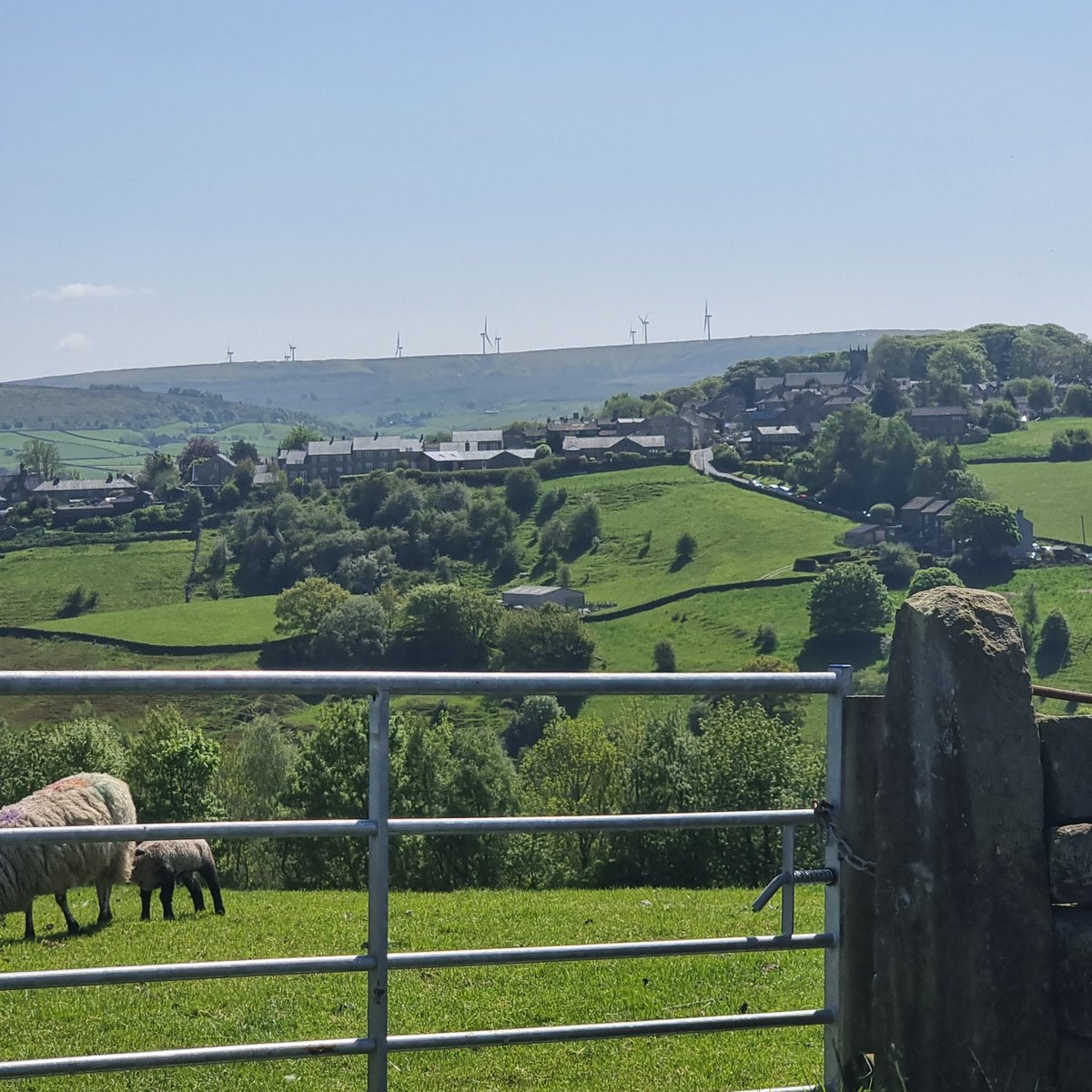 DMajorDee's tweet image. A gorgeous hours walk on the way to 40s weekend in Howarth, a chance to enjoy the space before the crowds. #Howarth
