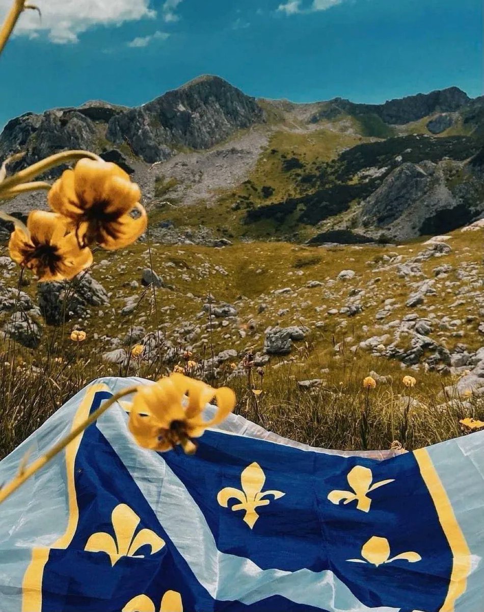 Bosnian History on Twitter: "Lilium bosniacum is a lily native to