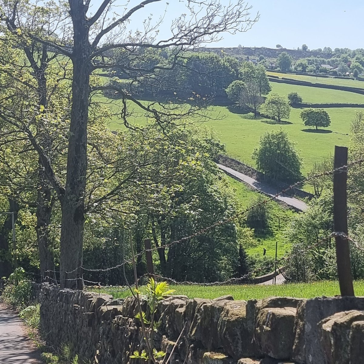 DMajorDee's tweet image. A gorgeous hours walk on the way to 40s weekend in Howarth, a chance to enjoy the space before the crowds. #Howarth