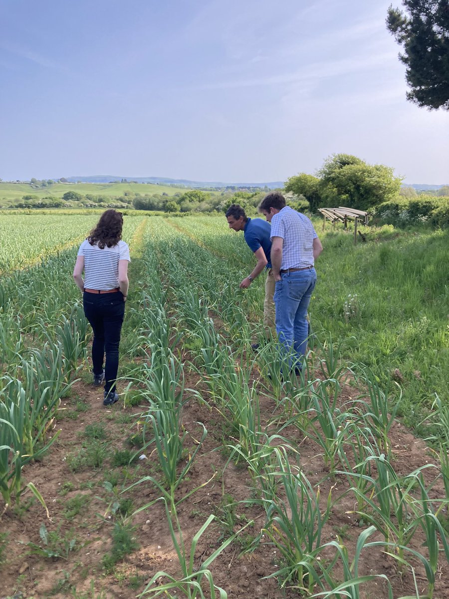 Wight Rural Hub tweet media