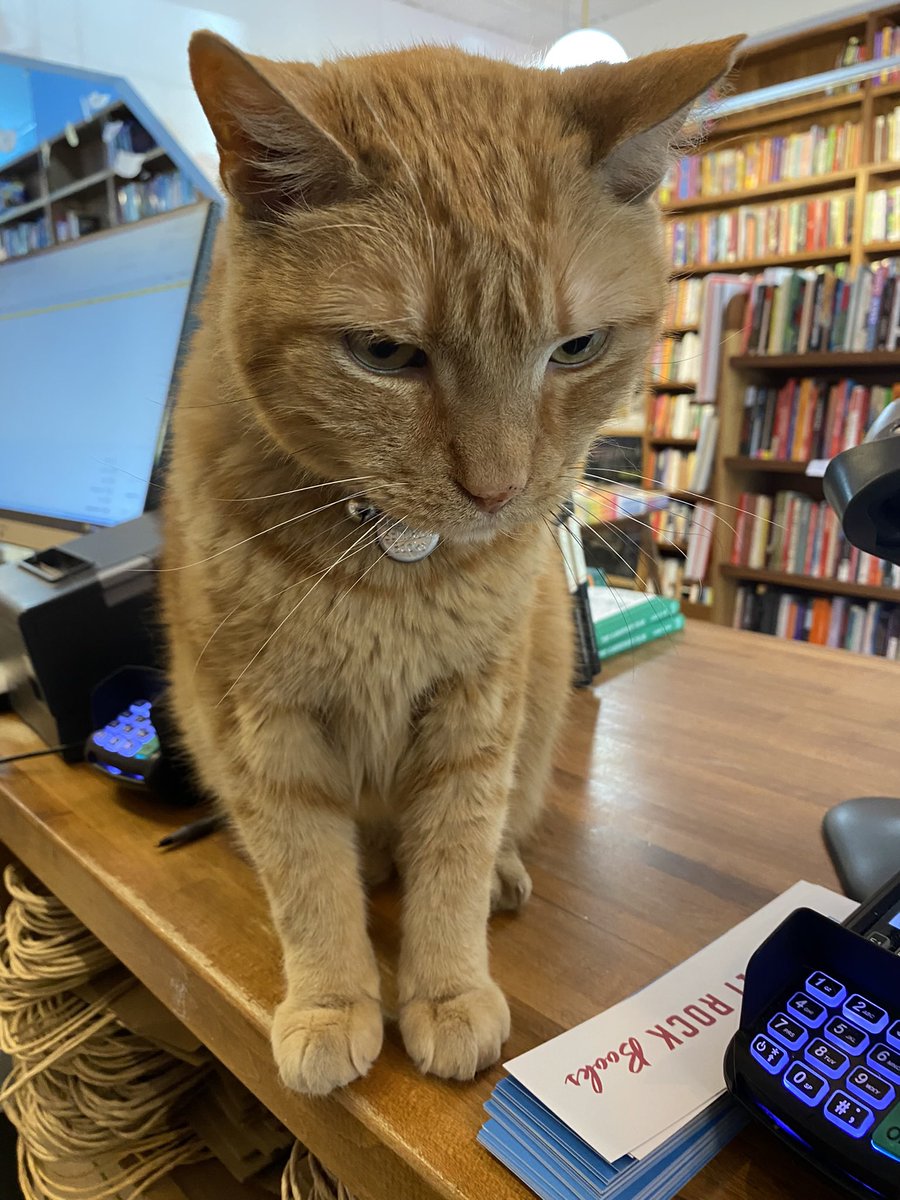 It’s Saturday! We’re open until 7 and it’s raining so really what else is there?