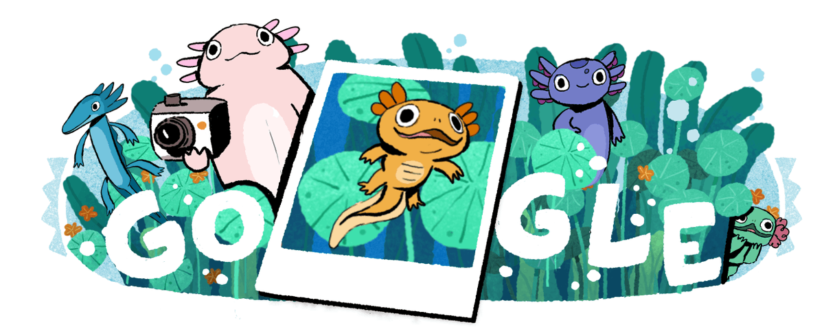 googlemexico's tweet photo. Te invitamos a una excursión en Trajinera a bordo del #GoogleDoodle de hoy✨

Celebrando el Lago de Xochimilco y sus maravillas, podrás fotografiar a diferentes tipos de ajolotes y aprender más sobre esta especie endémica mientras juegas.

¿Te unes?➡️ https://t.co/eBIOSF21hz https://t.co/Mu2hYQbet5