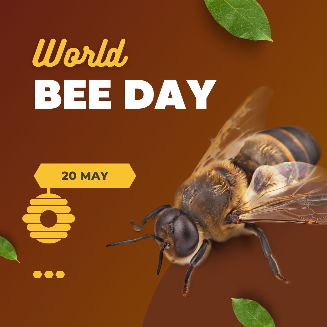 For #WorldBeeDay, have your students solve the Honeybee Mystery in our Bring Science Alive! Grade 2, Super Simple Science lesson activity. They even get to make their own honeycomb at the end of the lesson! 🐝 🍯 #NGSSChat #Scied