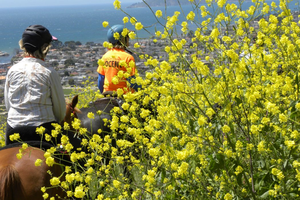 slohn's tweet image. 🐴 Weekly Scoop - - eepurl.com/irIByk