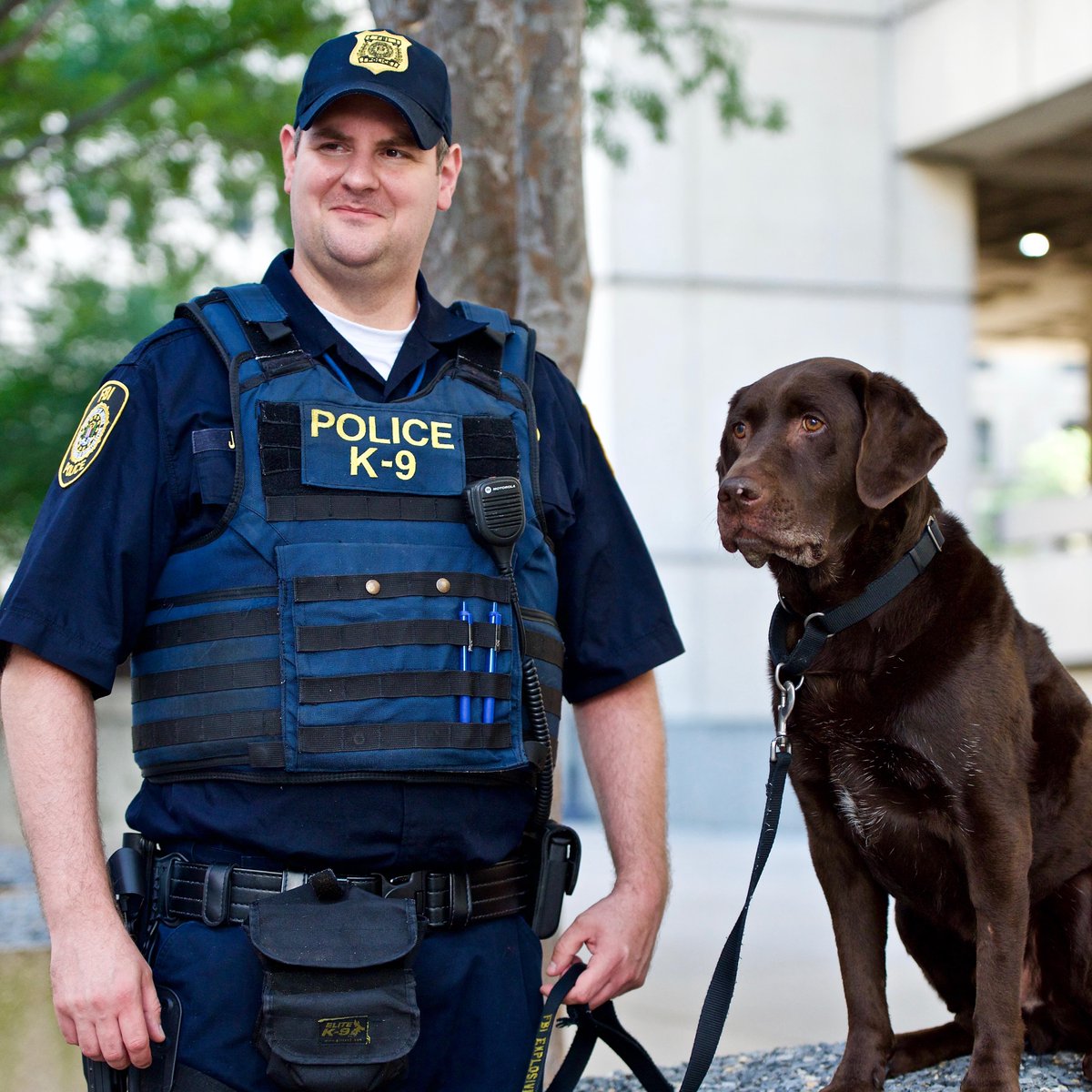 𝓣𝓱𝓮 𝓘𝓵𝓵𝓾𝓶𝓲𝓷𝓪𝓽𝓲 𓅓 on Twitter "RT FBI DYK, the FBI police play a crucial role in fulfilling