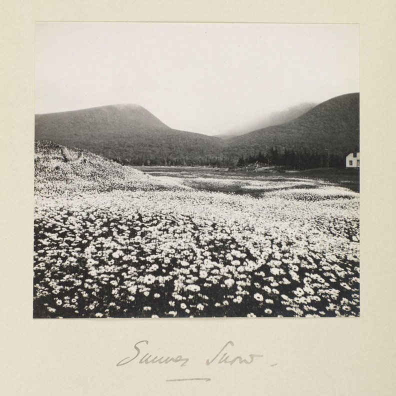 New on the archive: “Summer snow” taken by Edith Watson likely in 1913 during her trip to Newfoundland and Labrador. 

Physical holding at <a href="/libraryarchives/">Library and Archives Canada</a>
