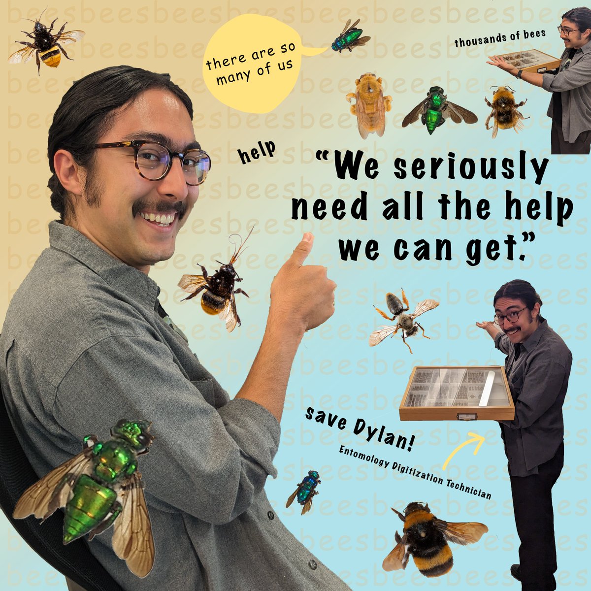 calacademy's tweet photo. Dylan’s monumental task is to digitize the Academy’s collection of 141k+ bees for the #BigBee project — &amp; it’s super easy for you to help by transcribing specimen labels. (It’s oddly satisfying.) This #WorldBeeDay, HELP DYLAN (&amp; the bees): https://t.co/kXd47Qb0Xq

#NSFFunded https://t.co/Xowhgekygq