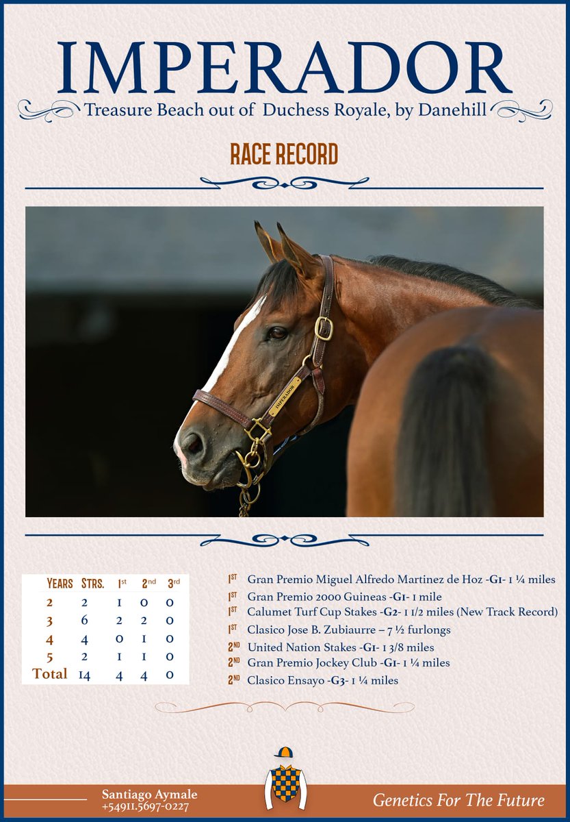 BonneChanceFarm's tweet photo. Bonne Chance and @StudRDI campaigned IMPERADOR is off to a great start at stud in Argentina!
#studrdi #geneticsforthefuture #teambonnechance https://t.co/QUqkmjONaM