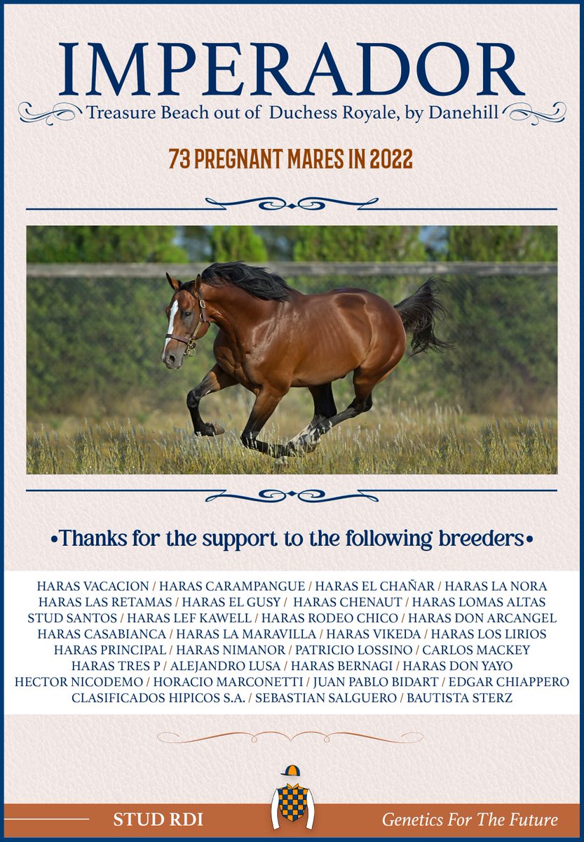 BonneChanceFarm's tweet photo. Bonne Chance and @StudRDI campaigned IMPERADOR is off to a great start at stud in Argentina!
#studrdi #geneticsforthefuture #teambonnechance https://t.co/QUqkmjONaM