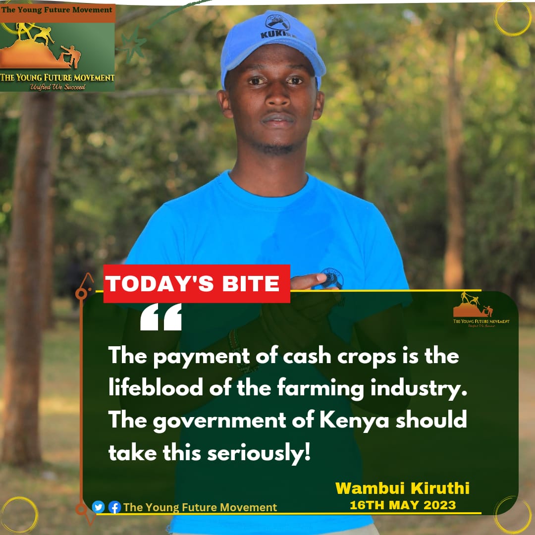 The solution  to our economy  is crop production 
#theyoungfuture