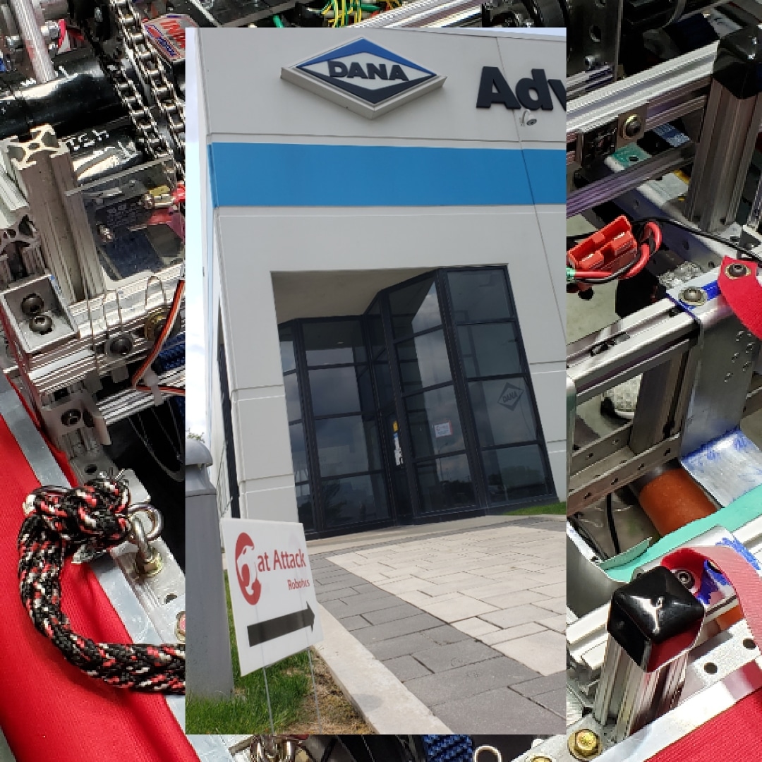 TODAY IS OPEN HOUSE! Stop by from 12-3pm and see what The Cat Attack is all about!