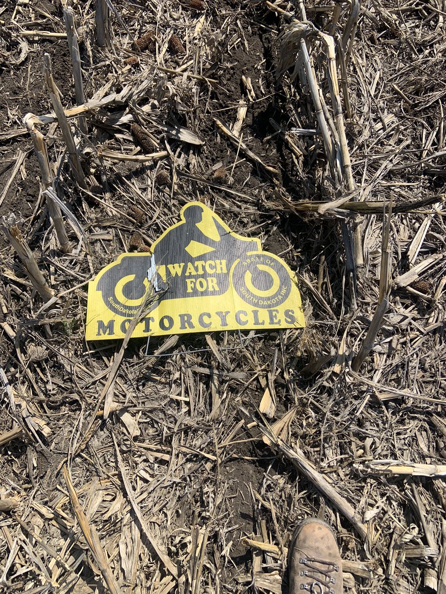 PlsntVlyFarmer's tweet photo. #fieldfinds
#CORNCLIBBENS
#HADDALAYERDOWNHOSSGOBBLESS https://t.co/Q7Tov8xHd6