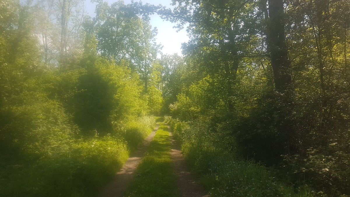 Lorna Griffiths tweet media