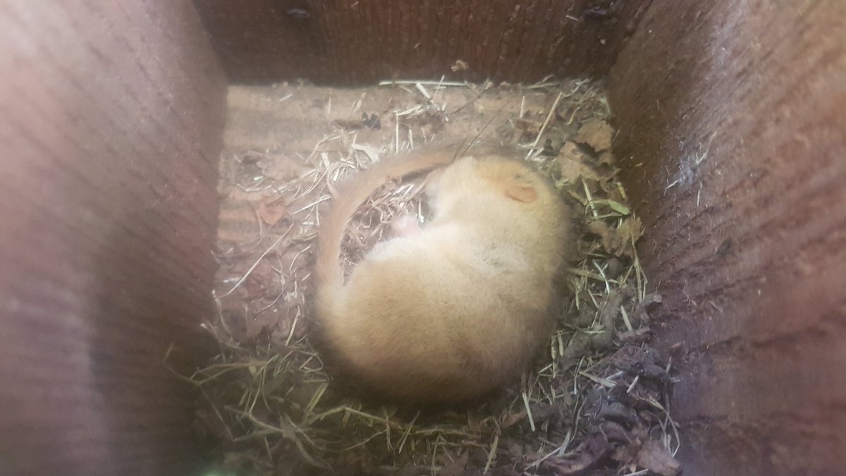 Lorna Griffiths tweet media