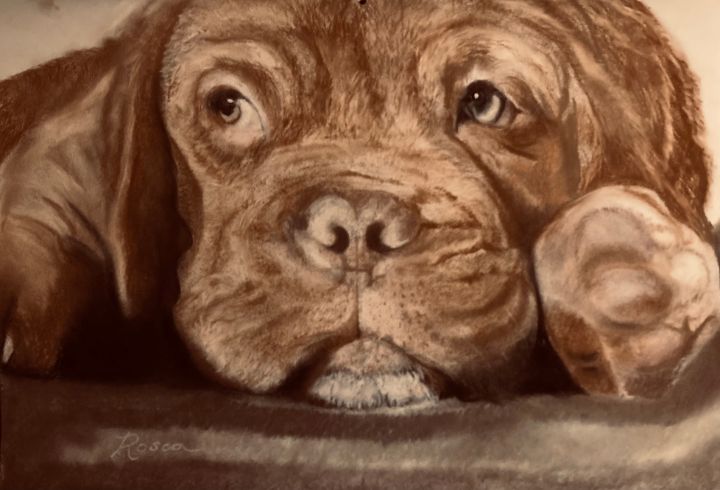 pavis_faces's tweet photo. Art of the Day: "Dog de Bordeaux bull mastiff". Buy at: https://t.co/EqqjBeWLlZ https://t.co/gglOBDpMnx