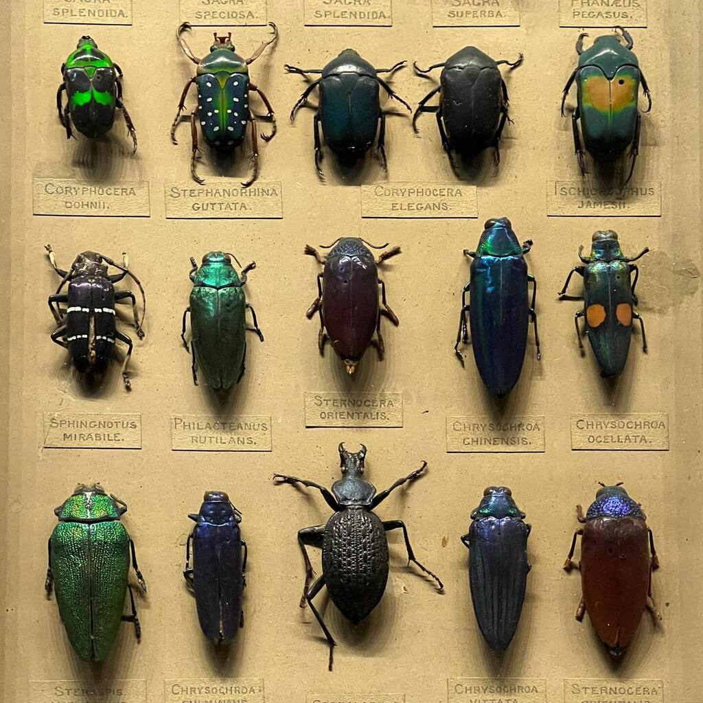 jmanchipp's tweet photo. Extraordinary museum https://t.co/5GepjoQZPq https://t.co/RBZtqVfCL9