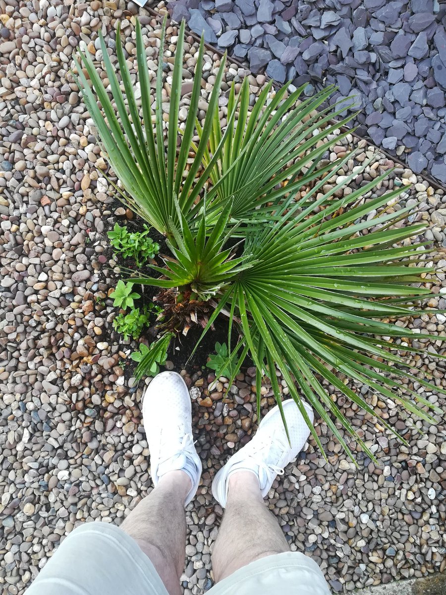 wyrefisherman's tweet photo. @Anna_rose00 Yes been doing boring gardening this afternoon https://t.co/xtgKERucar