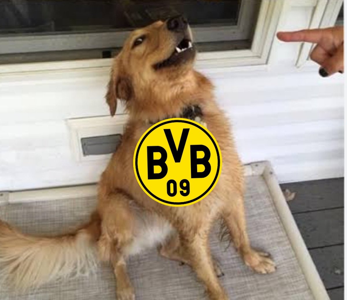 ElGolGarracol's tweet photo. El Bayern Munich perdió hoy, solo dependes de ti para ser campeón. No la vayas a cagar. https://t.co/6cSI7tNeP4