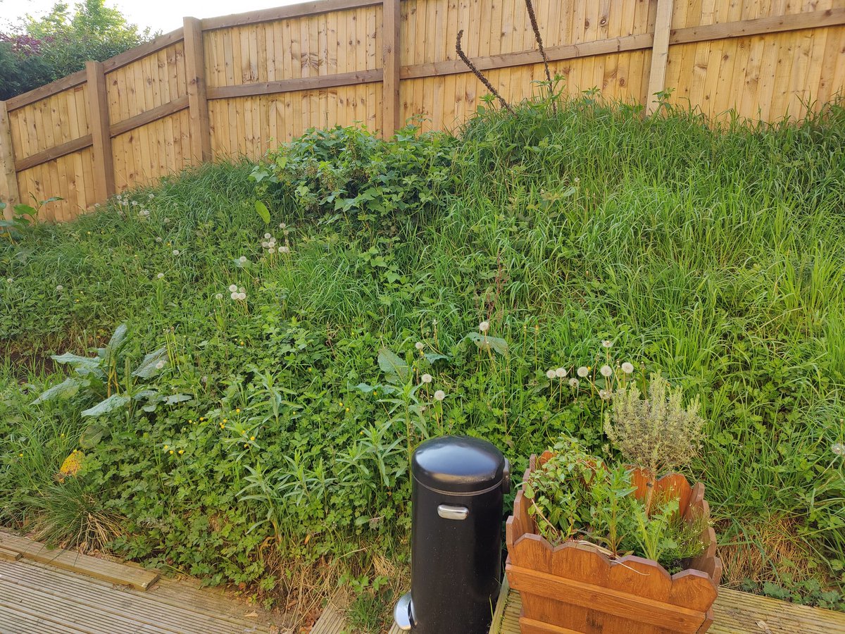 OK, any gardener's out there fancy a challenge? Would you like to create and maintain something from this? #gardendesign #gardening #gardeninspiration #gardenideas #gardenmakeover #gardenmaintenance