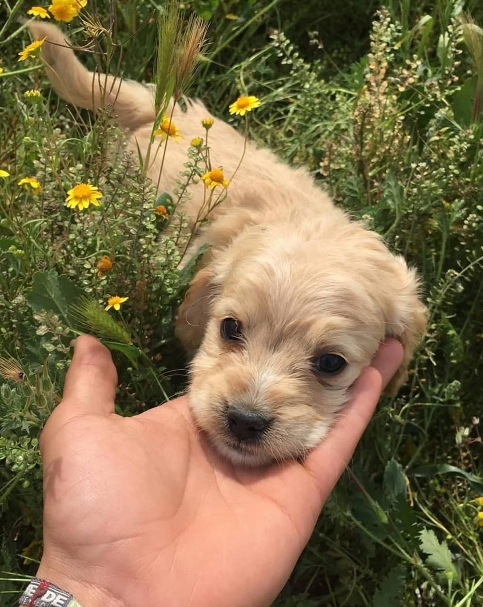 twaniimals's tweet photo. https://t.co/P9Hxs6yN2I