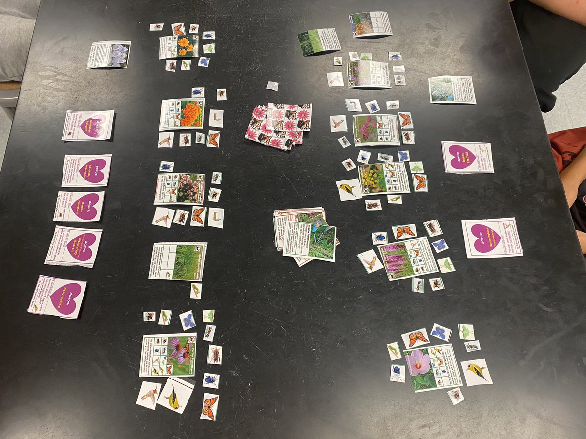 MHKProjectGreen's tweet photo. We played a custom game that teaches the native plants in our garden along with the native species they support. The game is extra educational because it teaches invasive plants as well!  Some students even made an step-by-step instructional slide show to help others learn it! https://t.co/MGpuIbKLDU