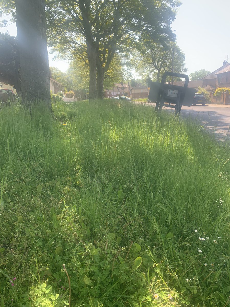 michellled34's tweet photo. So peaceful sitting in the back garden in the sun listening to the birds then I come out my front door to this !!! What the hell do we pay council tax for 😡@lpoolcouncil this is L13 area think it’s time you cut the grass @lpoolcouncil https://t.co/FJ3O8sjF4H