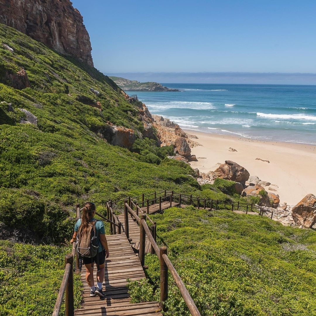 PlanMyGapYear's tweet image. 🇿🇦 Weekends in South Africa look like…⁠
⁠
#pmgy #pmgysouthafrica #pmgyweekends