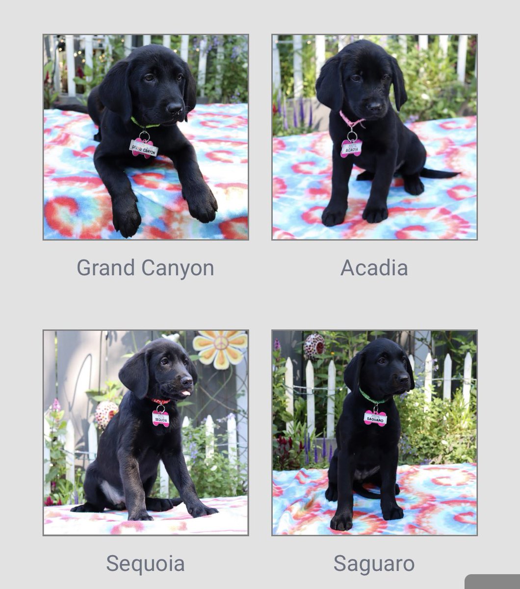 thegreatets's tweet photo. I can’t believe I had all 8 of these https://t.co/3ljLYYUVMJ