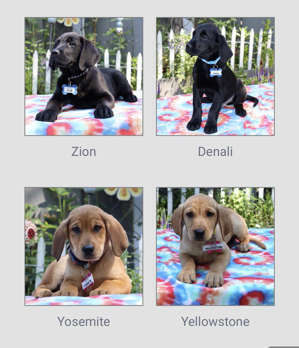 thegreatets's tweet photo. I can’t believe I had all 8 of these https://t.co/3ljLYYUVMJ