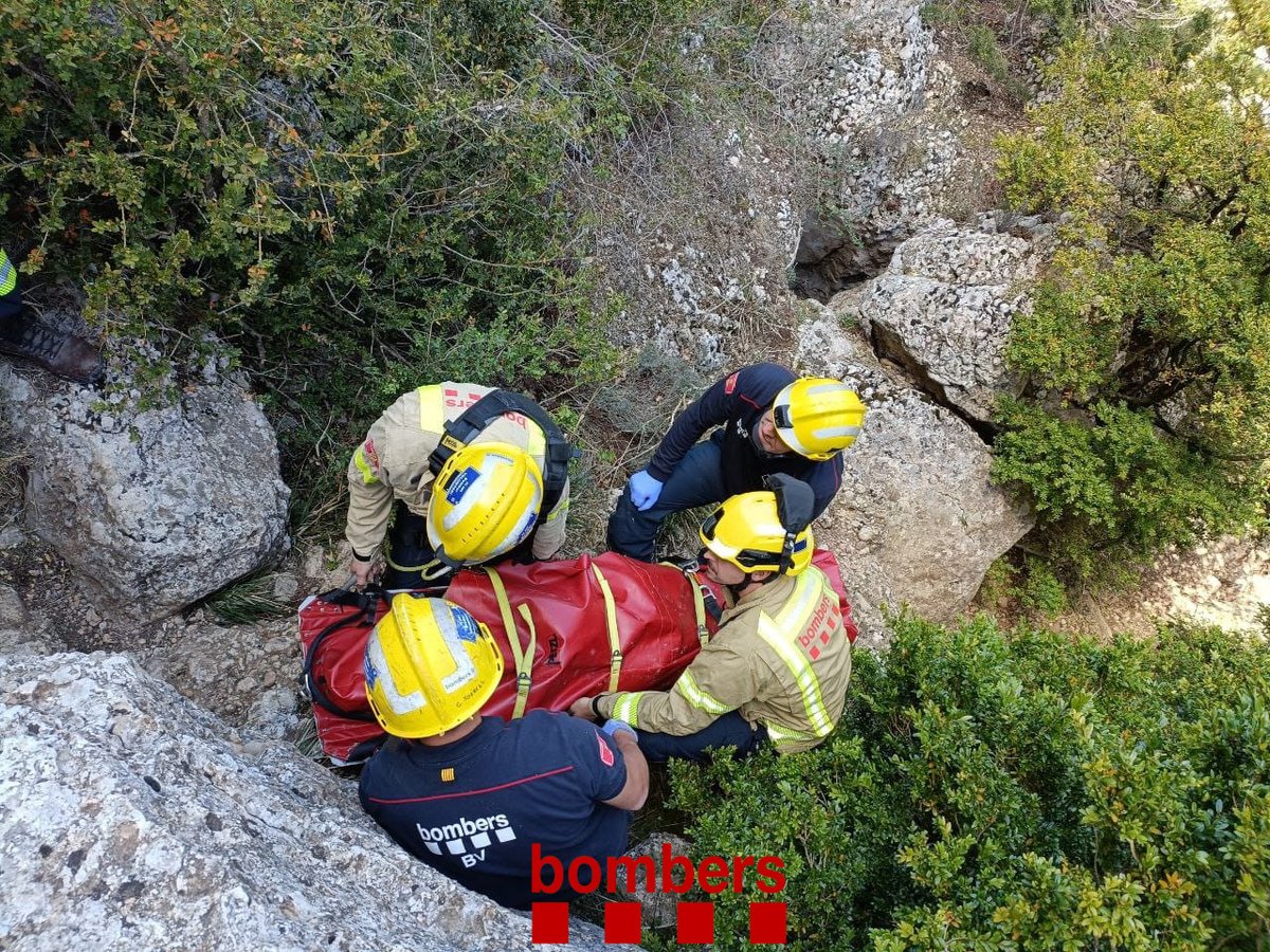 bomberscat tweet picture