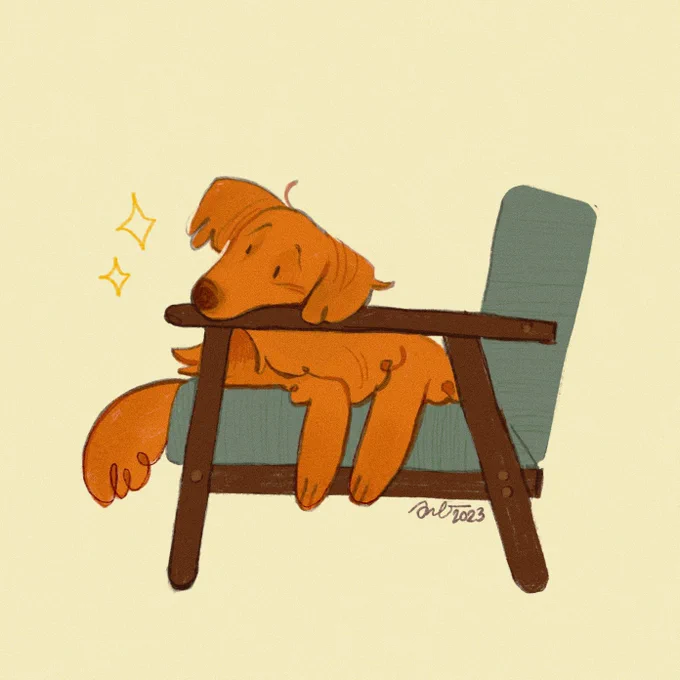 this is pumpkin the cafe dog and he is wait for you to pat him