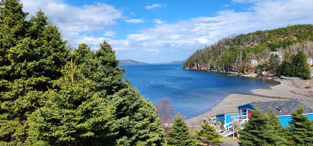 ElijahPorterMom's tweet photo. It's that time of year again! 😁 #loveourview #camping #RandomIsland #Newfoundland https://t.co/5lAjGQL3zS