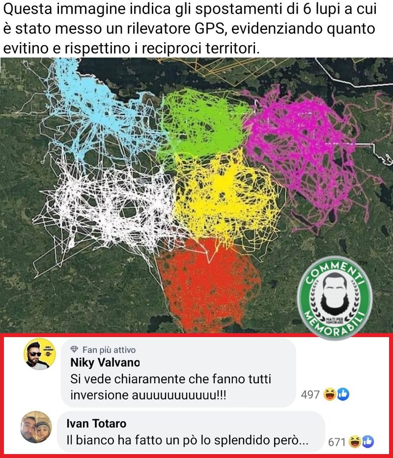 CM_Memorabili's tweet photo. Una grafia comunque più interpretabile di quella dei medici. #commentimemorabili #tracciati #lupi https://t.co/3nDFv90wS2