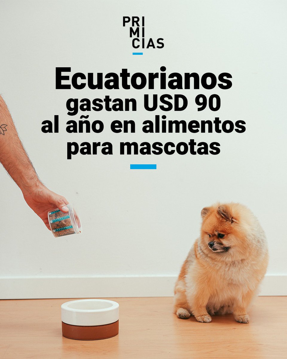 Primicias's tweet photo. Si la Corte Constitucional avala la reforma tributaria, los gastos de manutención de mascotas serán deducibles del pago del Impuesto a la Renta. https://t.co/Xo7pDKi2dX https://t.co/uOJOSz4ctG