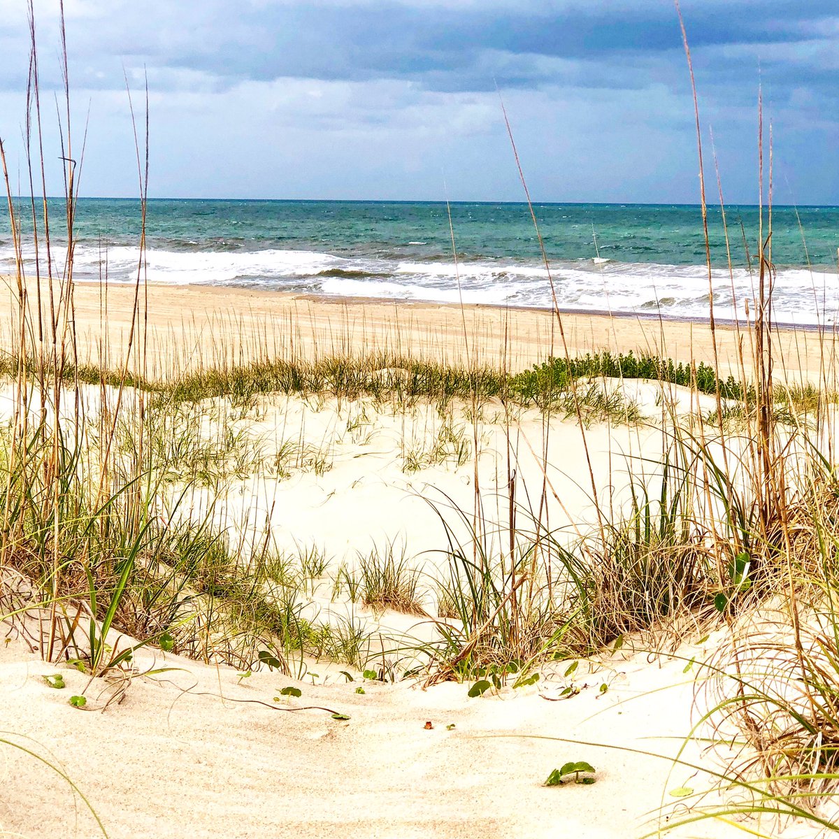 The Dunes At Cape Point...
#travel #explore #beach #vacation #weekendvibes #travelblogger #beachlife #photography #weekend #capehatteras #outerbanks #obx #NorthCarolina