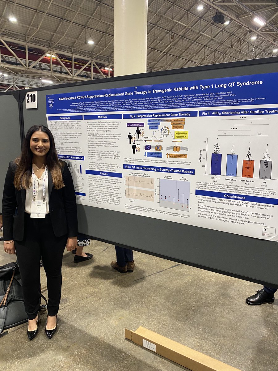 Michael J. Ackerman MD,PhD (@mjackermanmdphd) on Twitter photo 4 our <a href="/MayoClinic/">Mayo Clinic</a> #gene #therapy program, our AAV9-KCNQ1 SupRep for type 1 #LQTS is farthest. <a href="/sahejbains/">Sahej Bains</a> just revealed @hrsonline #HRS2023 its progress w/ the <a href="/OdeningLab/">Odening Lab</a> LQT1 rabbits. 1st demonstration in the USA of in vivo success! 🤗 Next up - LQT2 🐇 4 our <a href="/MayoClinic/">Mayo Clinic</a> #gene #therapy program, our AAV9-KCNQ1 SupRep for type 1 #LQTS is farthest. <a href="/sahejbains/">Sahej Bains</a> just revealed @hrsonline #HRS2023 its progress w/ the <a href="/OdeningLab/">Odening Lab</a> LQT1 rabbits. 1st demonstration in the USA of in vivo success! 🤗 Next up - LQT2 🐇
