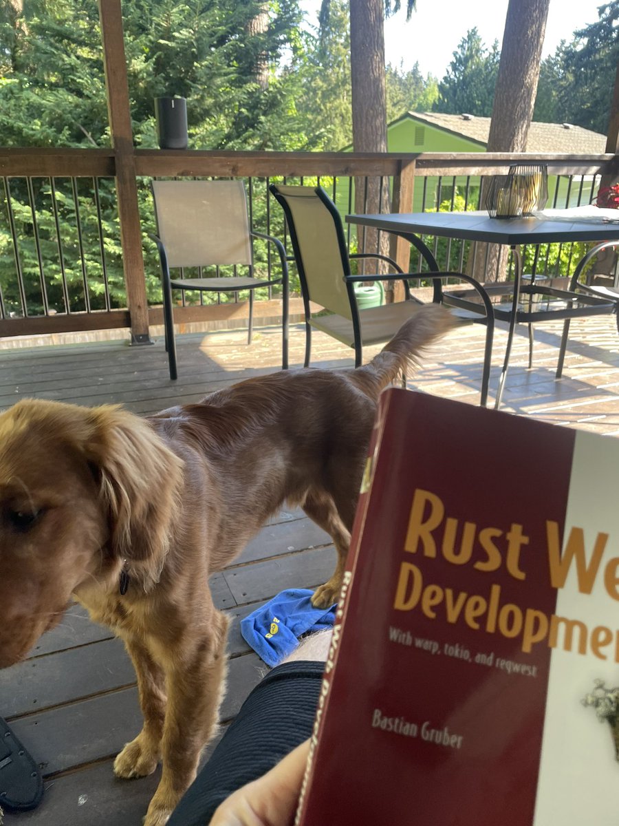 johnhartquist's tweet photo. If I had to pick one programming language to use for the rest of my life, it would be Rust.  

Really enjoying getting up to speed with Rust Web Development by @recvonline 🦀 https://t.co/6osckiDrxt