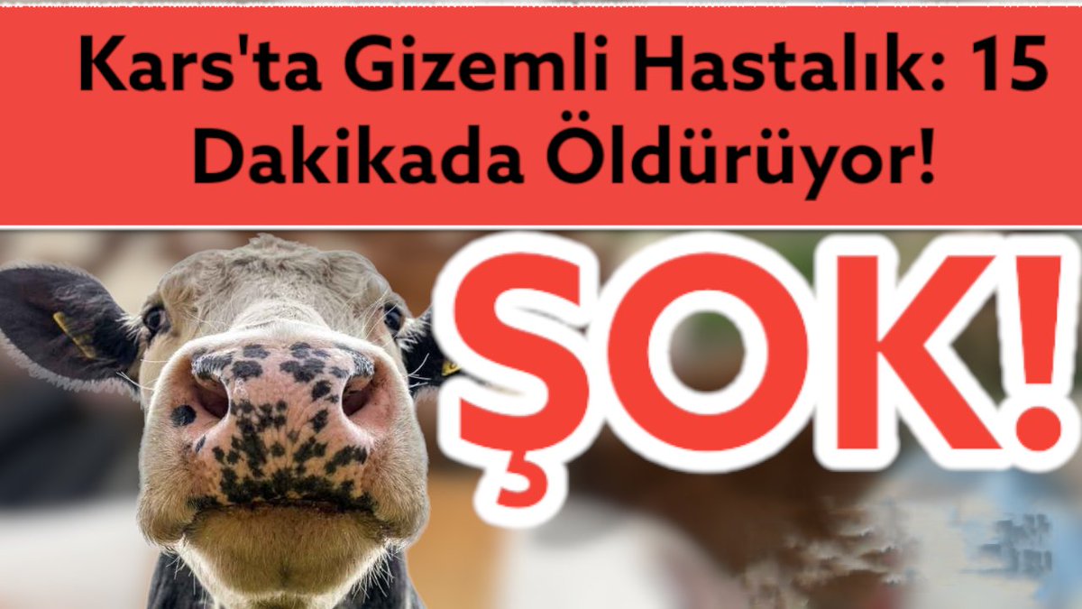 💥SON DAKİKA!

💥ŞOK! 

Hayvancılığın merkezi Kars'ta şap aşısı olan Büyükbaş hayvanları
15 Dakikada Öldüren bir hastalık çıktı! Tarım ve Orman Bakanlığı İnceleme Başlattığını ilan etti!

Detaylar Erkan Trükten Youtube kanalındaki bu videoda!
youtu.be/-9fJtTz7Vmc