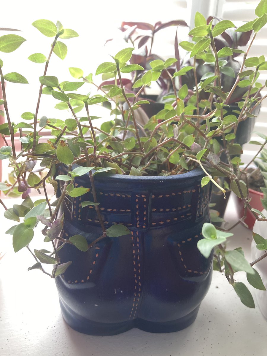 Tracy Proffitt tweet media