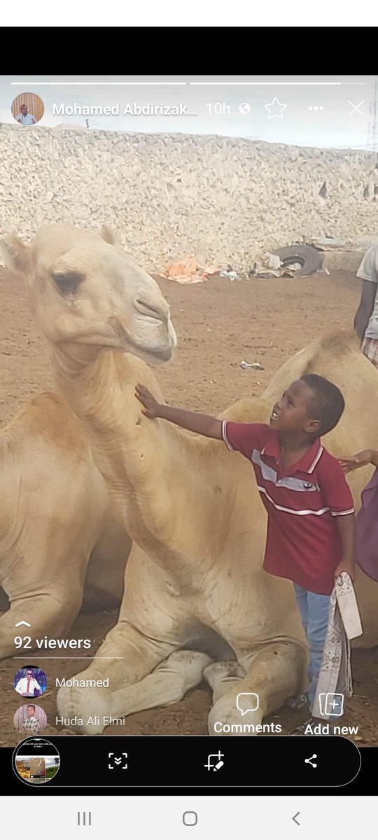 Mohamed Abdirizak (@ma_abdirizak) on Twitter photo 