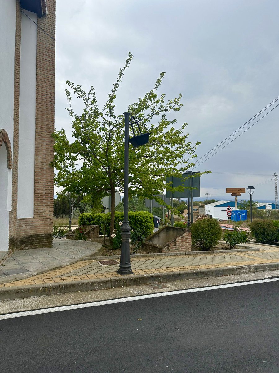 Aurora Suárez tweet media