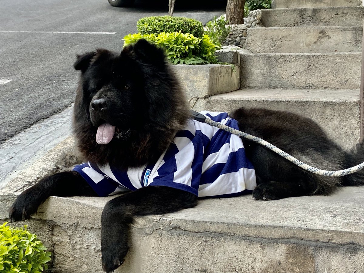 lexcm's tweet photo. ⁦@Rayados⁩ “Cuidando la casa y la Cima” 💪🏻💪🏻 https://t.co/QGmGpxjojm