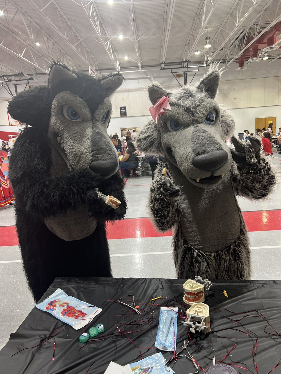 Vanessa Rivera (@msvanessa32) on Twitter photo Cujo and Cujette getting info on our HPA programs, mostly Dental 🦷 #Loboswillbeheard #HPA #Dental #MVHS <a href="/ViewCheer/">MOUNTAIN VIEW HS CHEER TEAM</a> Cujo and Cujette getting info on our HPA programs, mostly Dental 🦷 #Loboswillbeheard #HPA #Dental #MVHS <a href="/ViewCheer/">MOUNTAIN VIEW HS CHEER TEAM</a>